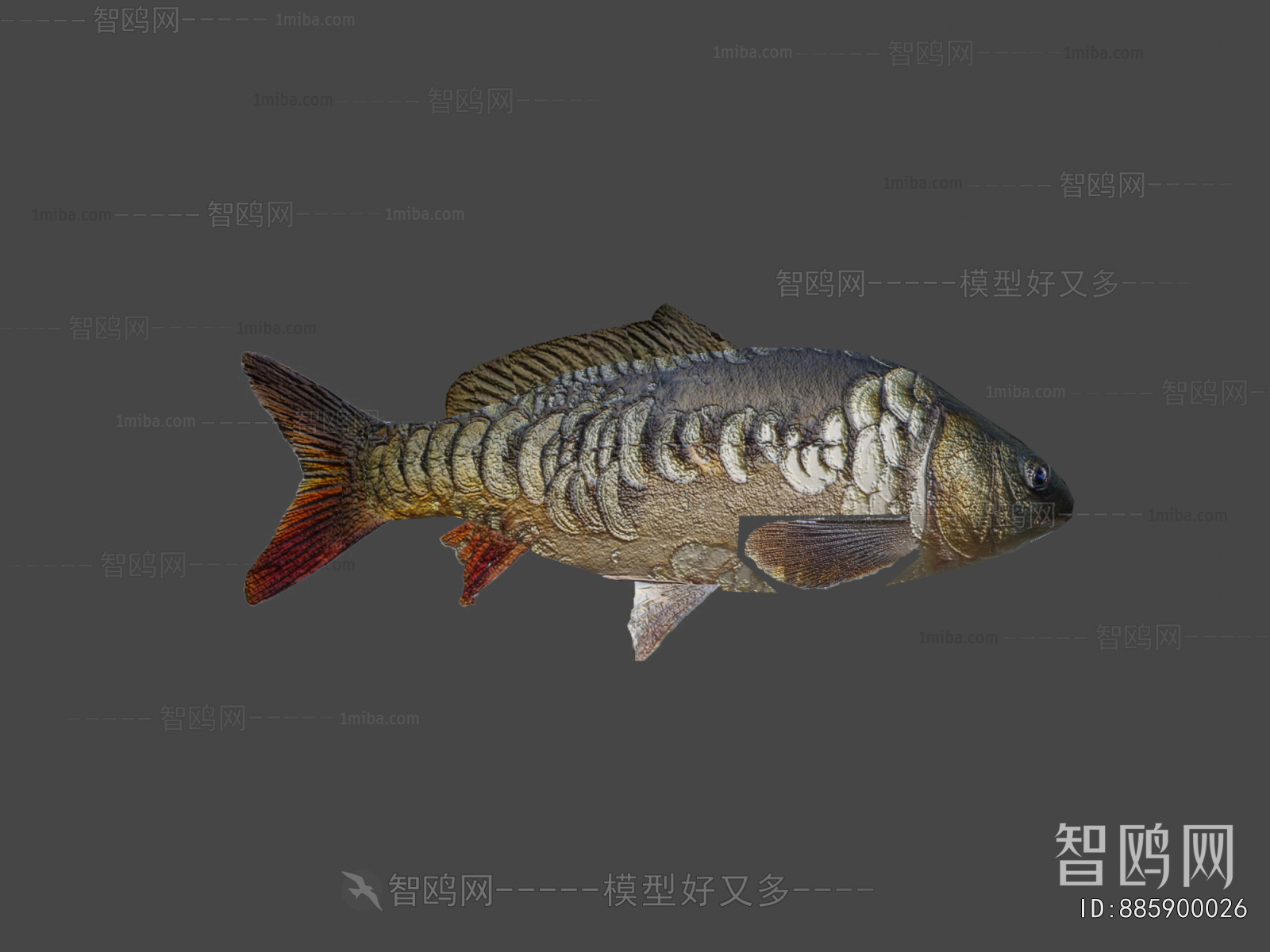 Modern Aquatic Animals