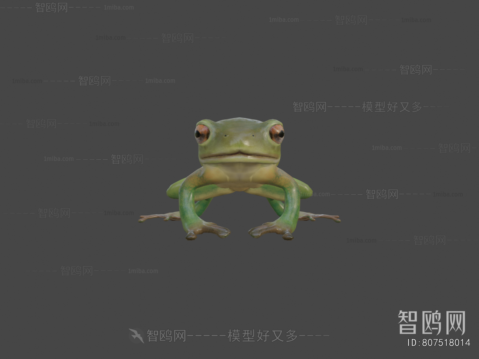 Modern Reptile