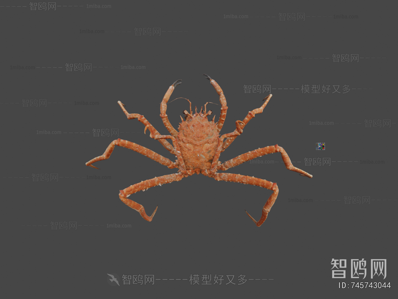Modern Aquatic Animals