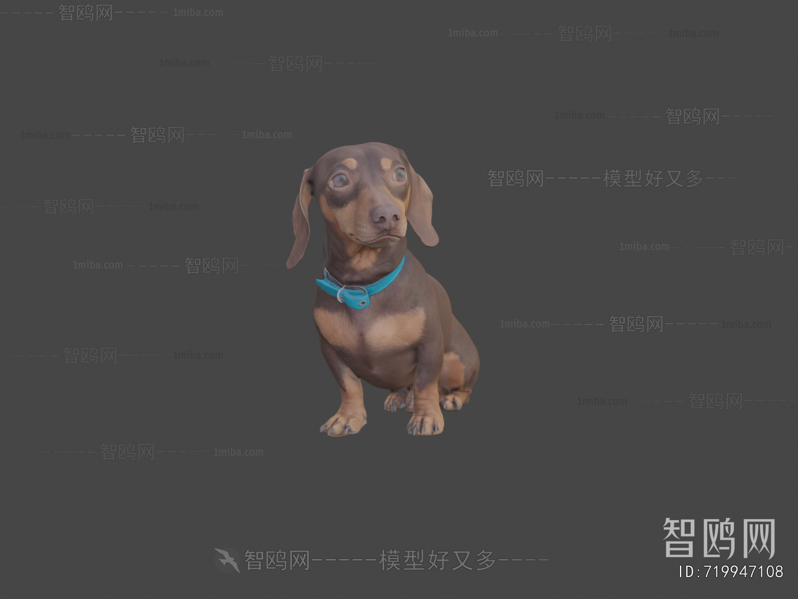 Modern Animal