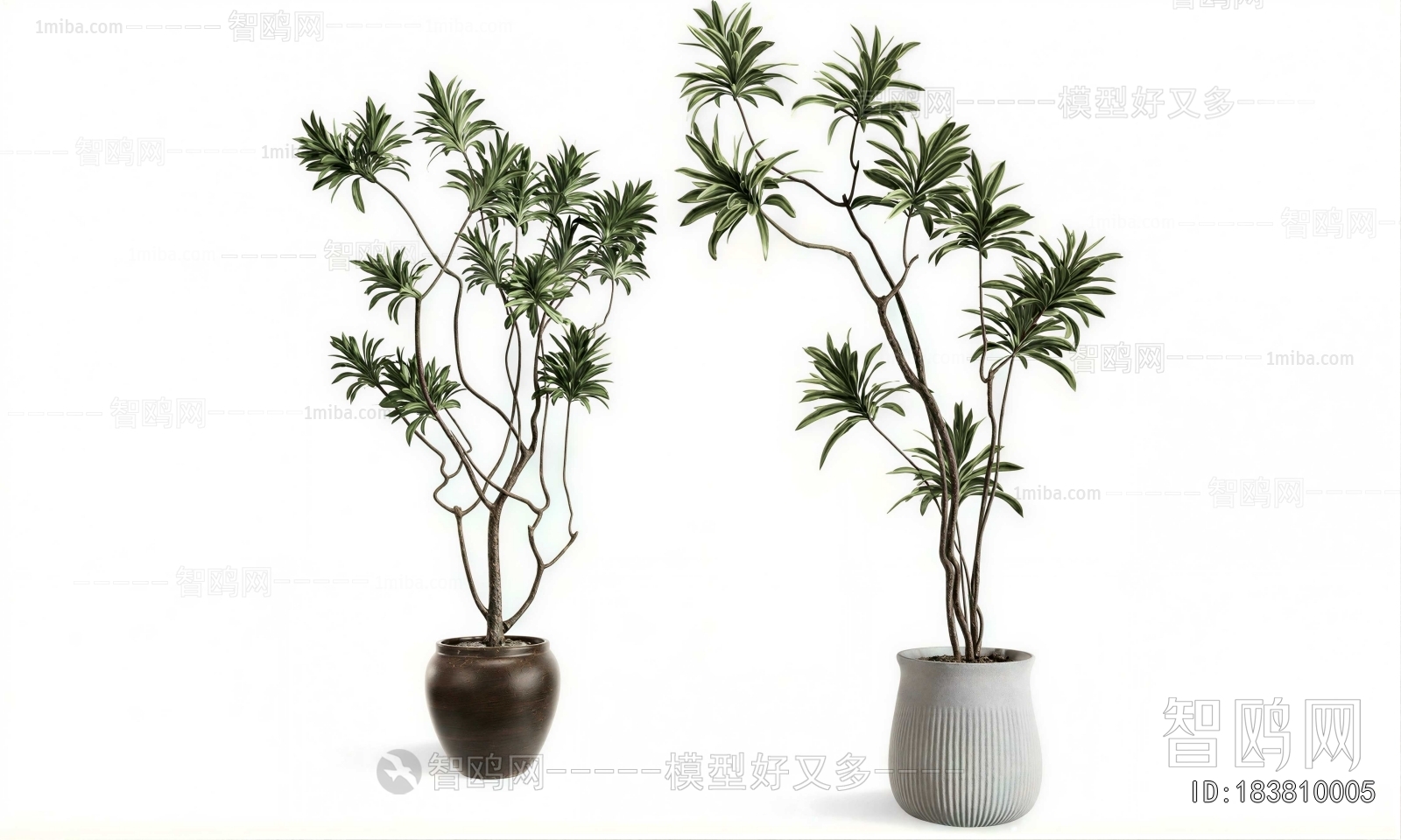 Modern Ground Green Plant Potted Plants
