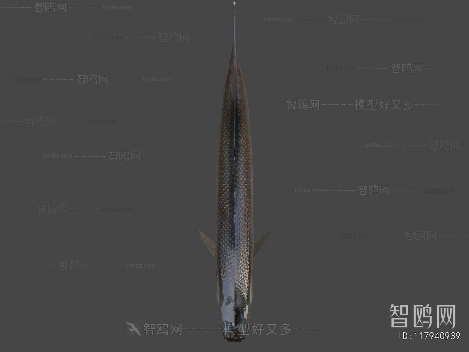 Modern Aquatic Animals