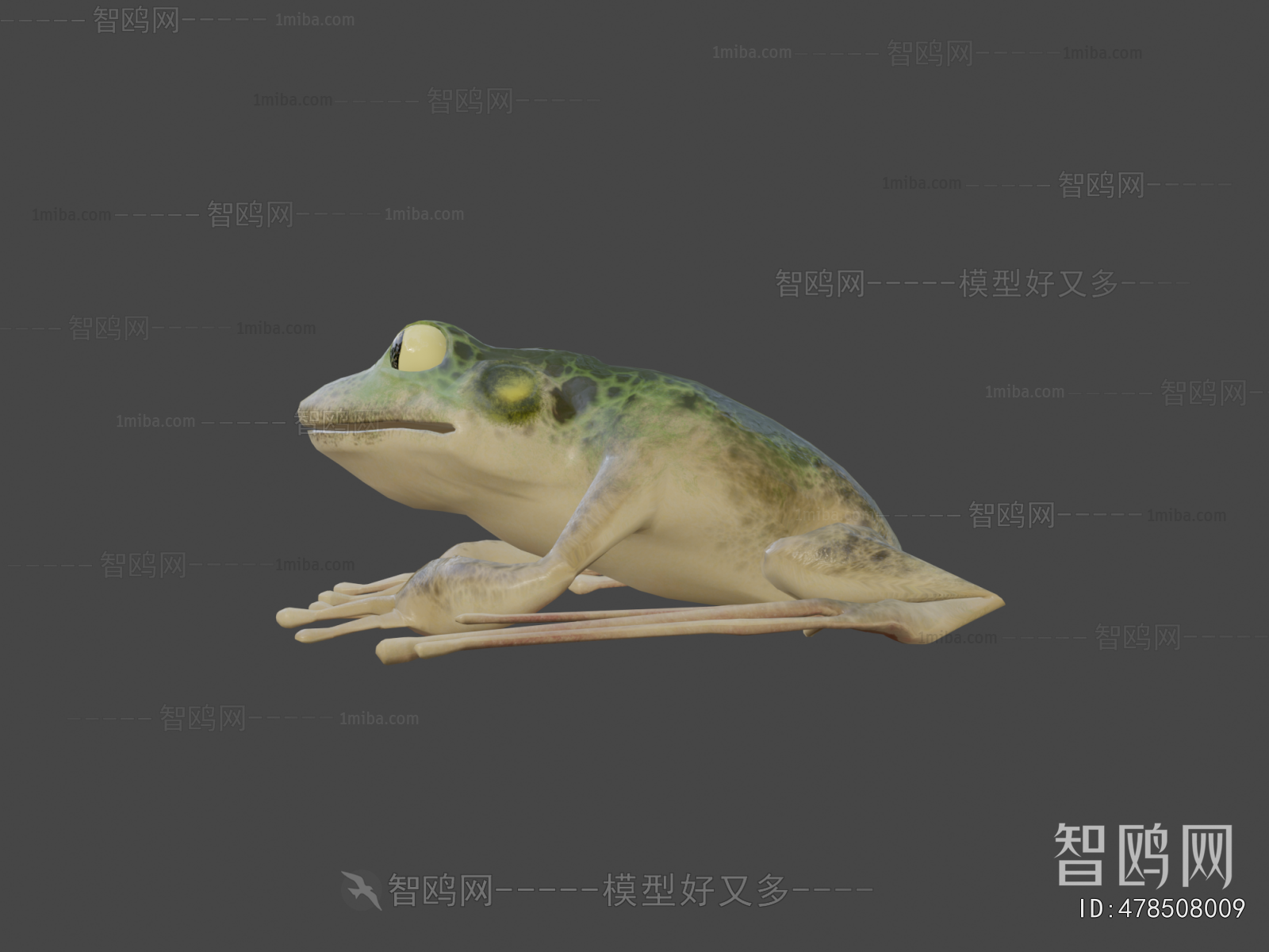 Modern Aquatic Animals