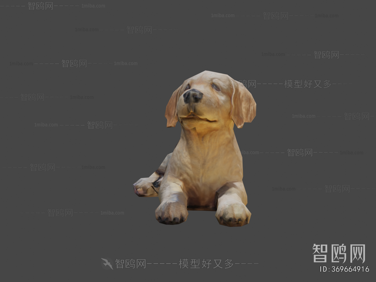 Modern Animal