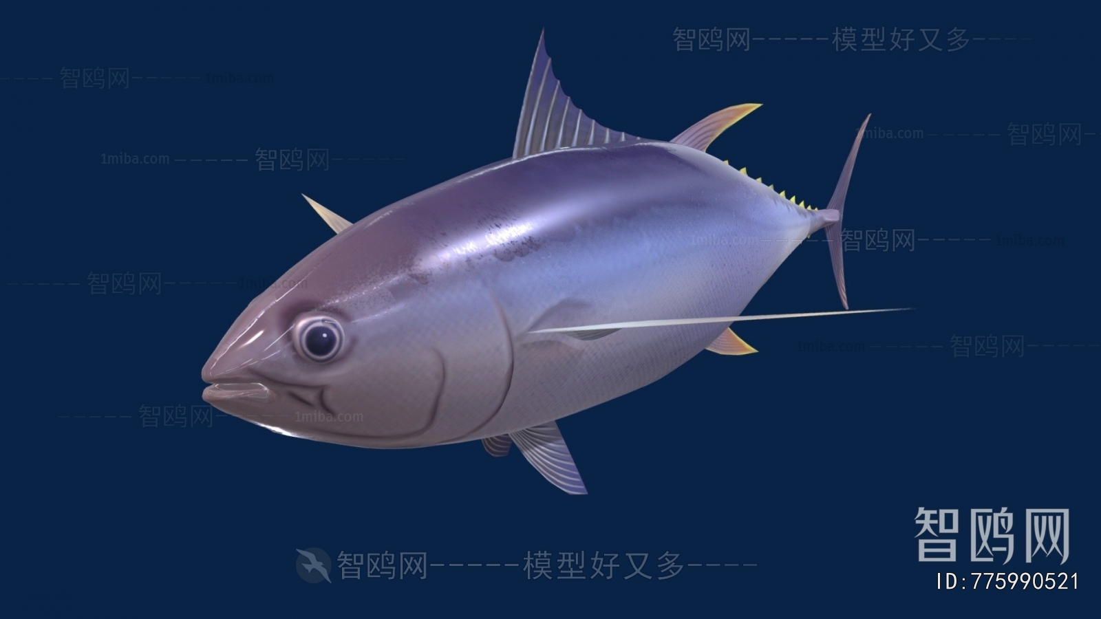 Modern Aquatic Animals
