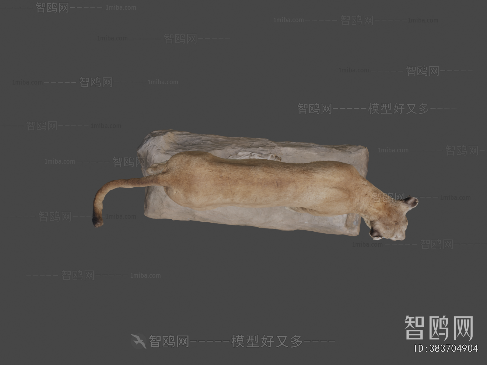 Modern Animal