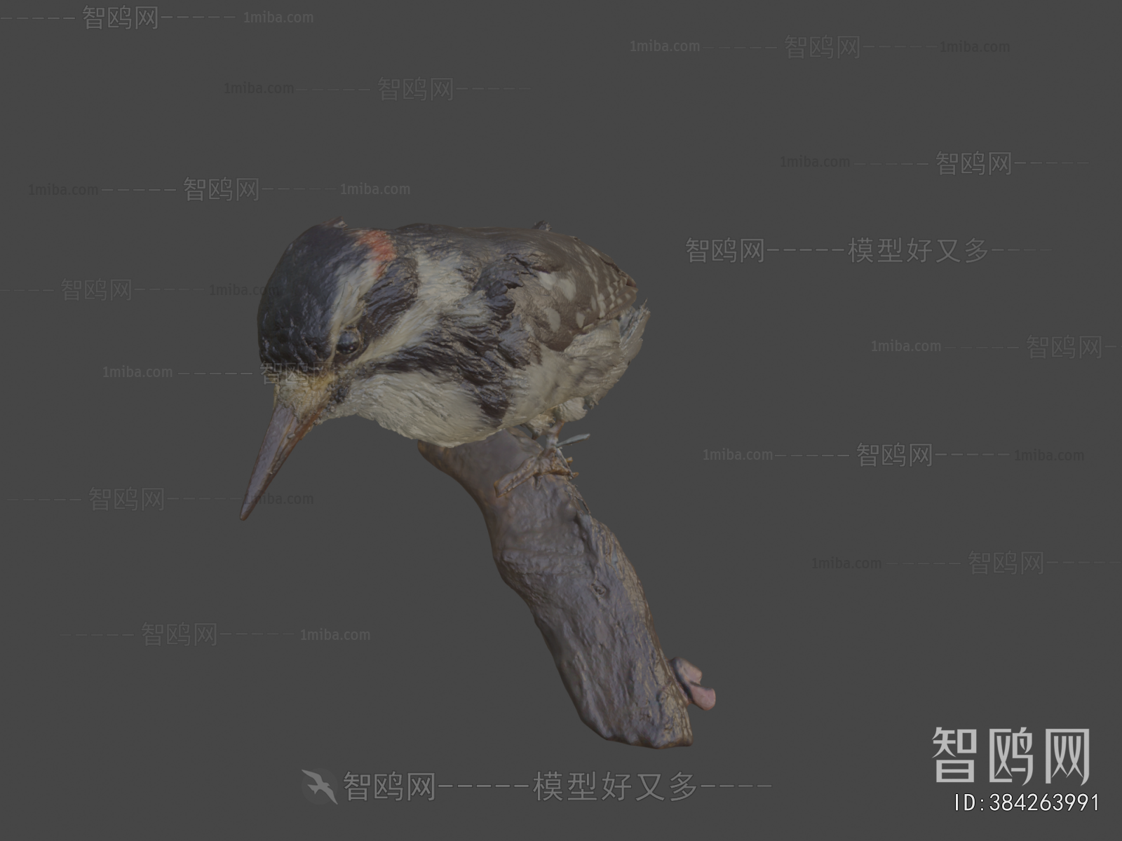 Modern Flying Animals