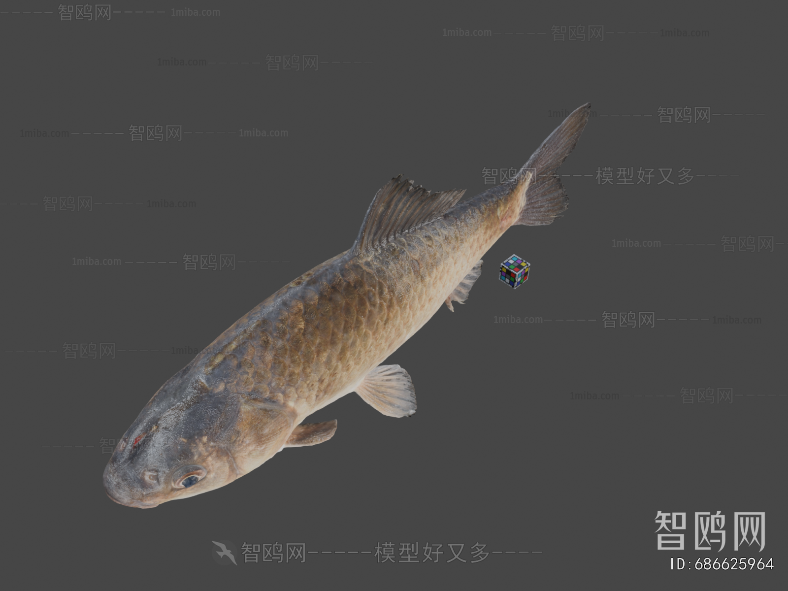 Modern Aquatic Animals