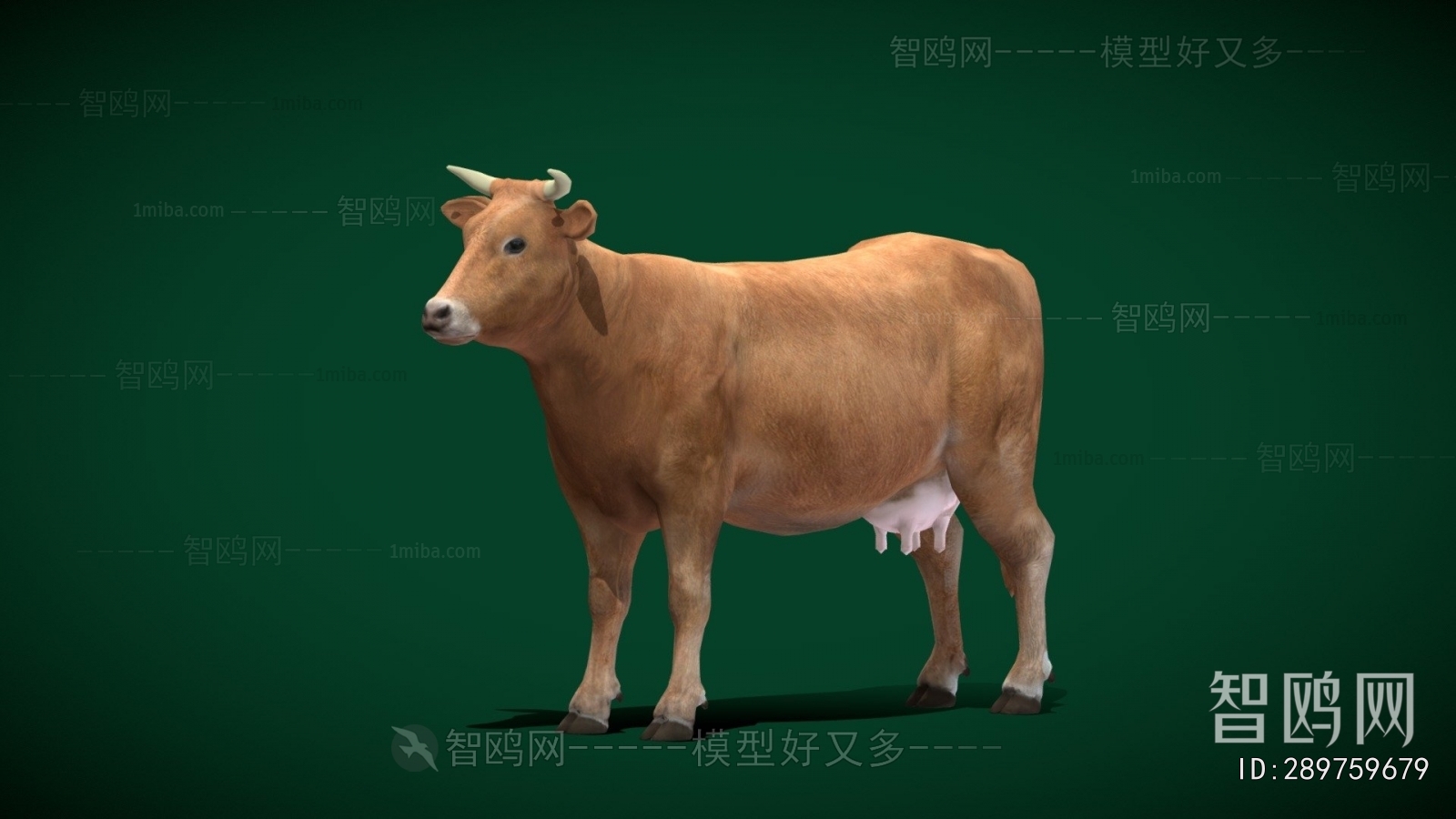 Modern Mammal