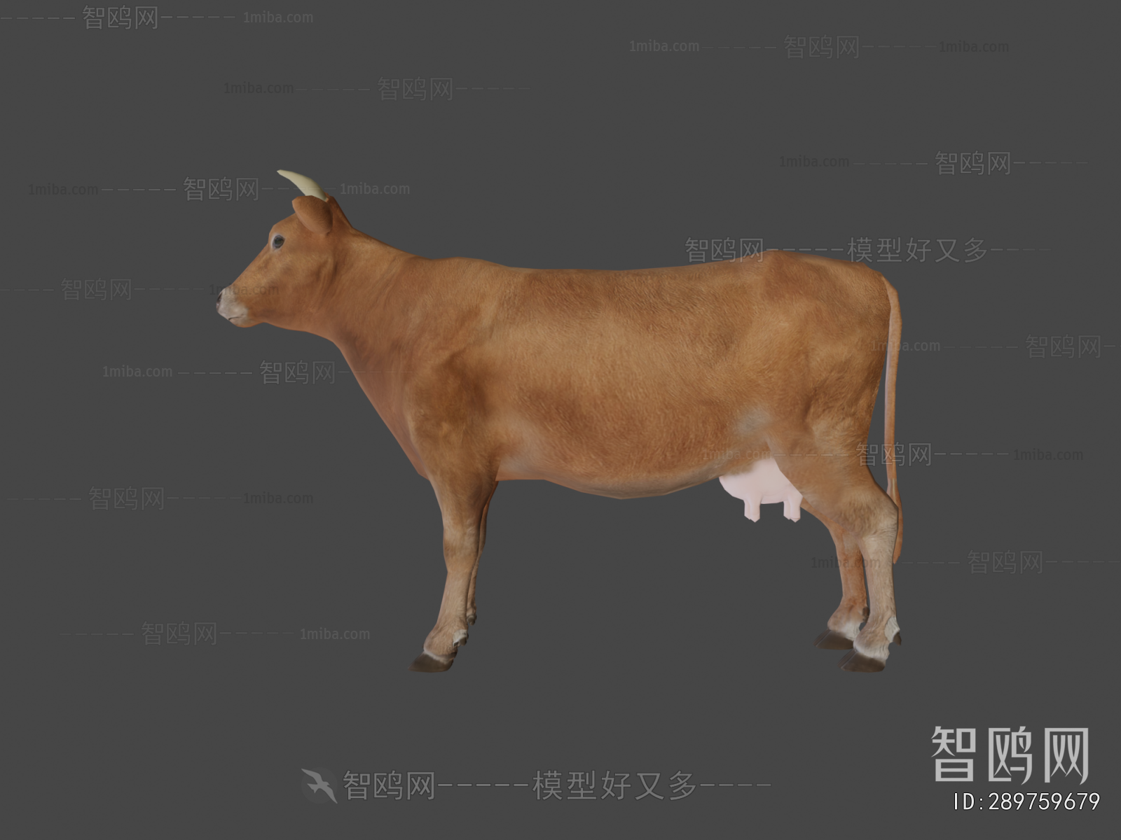 Modern Mammal