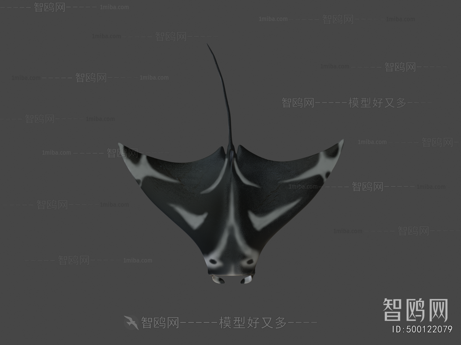 Modern Animal