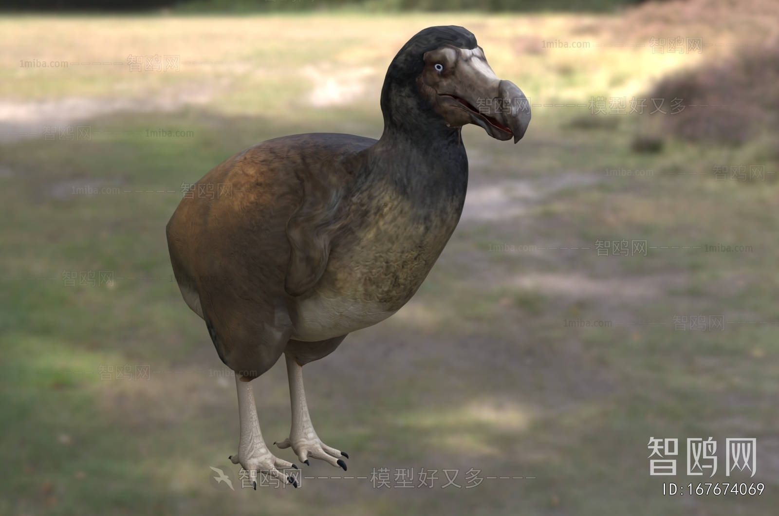 Modern Poultry Animal