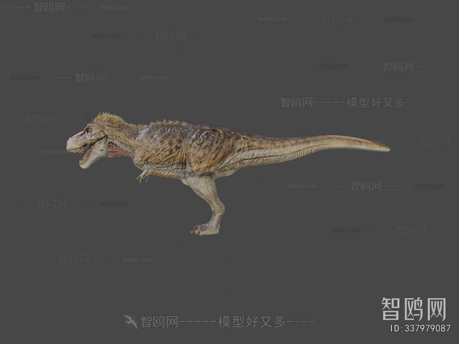 Modern Animal