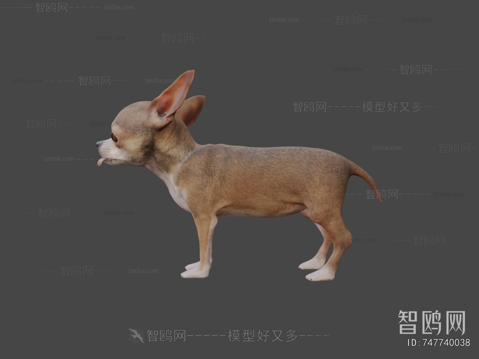 Modern Animal Dog
