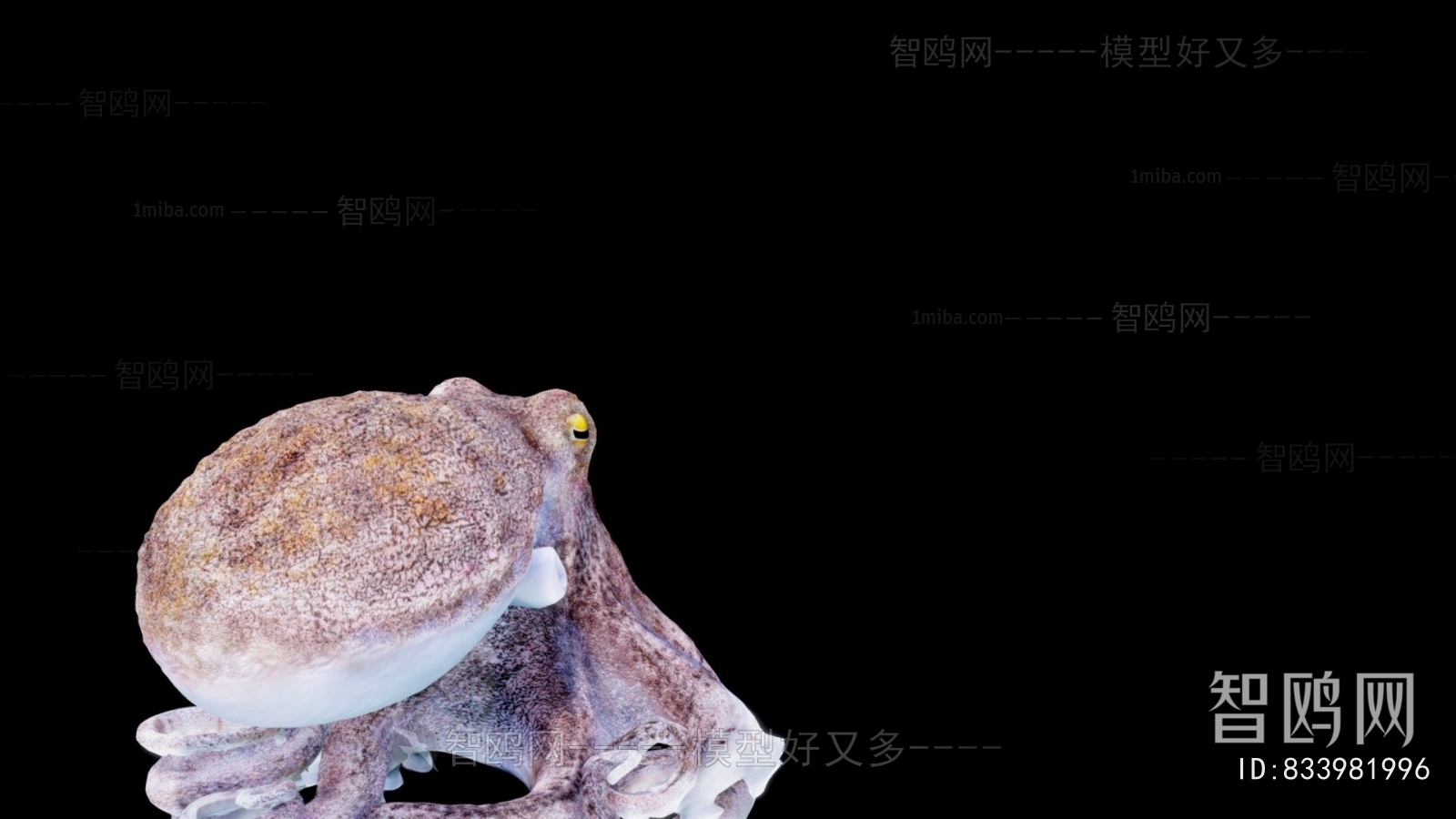Modern Aquatic Animals