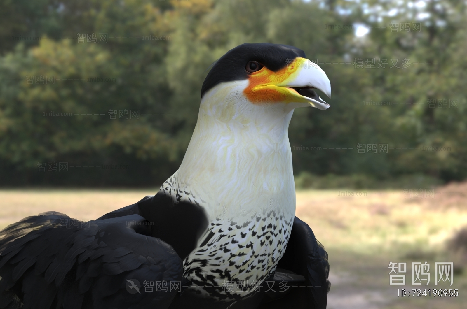 Modern Flying Animals