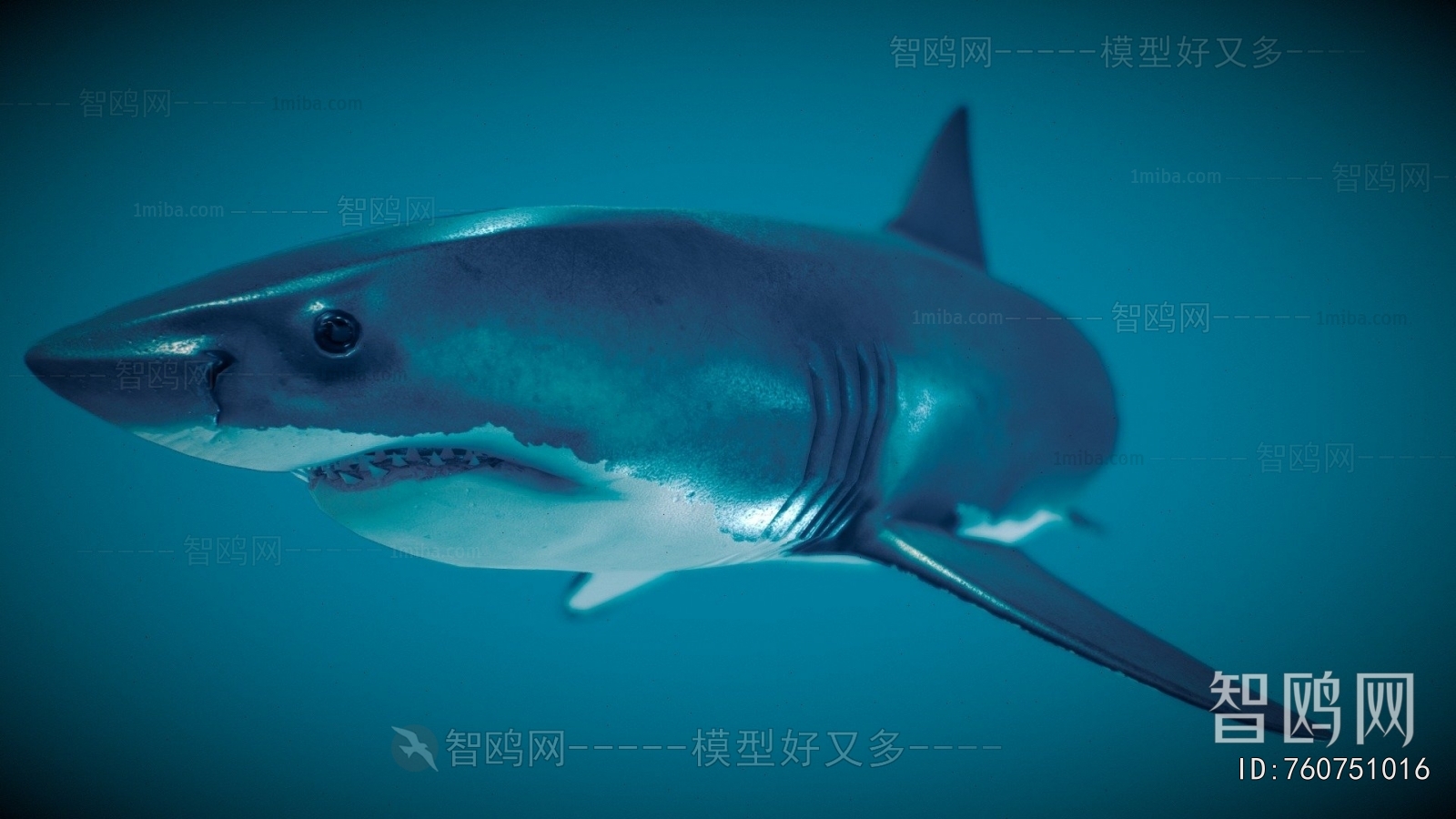 Modern Aquatic Animals