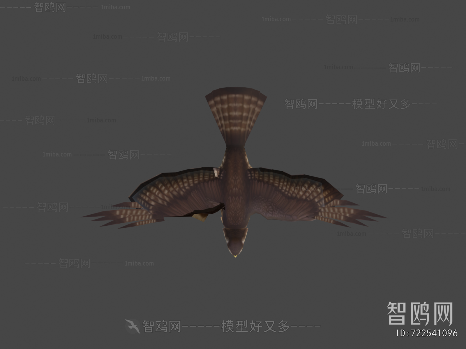 Modern Flying Animals