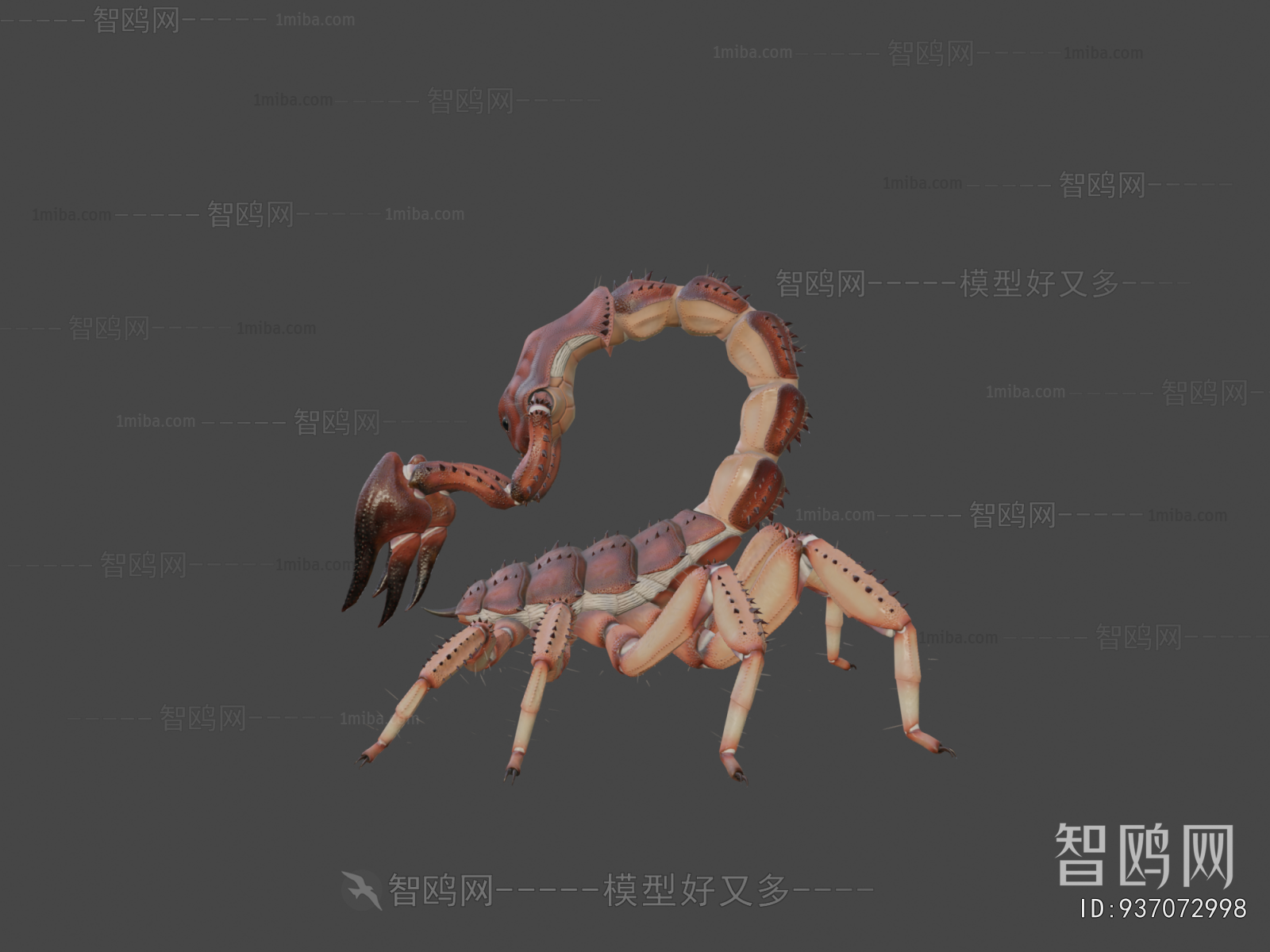 Modern Animal