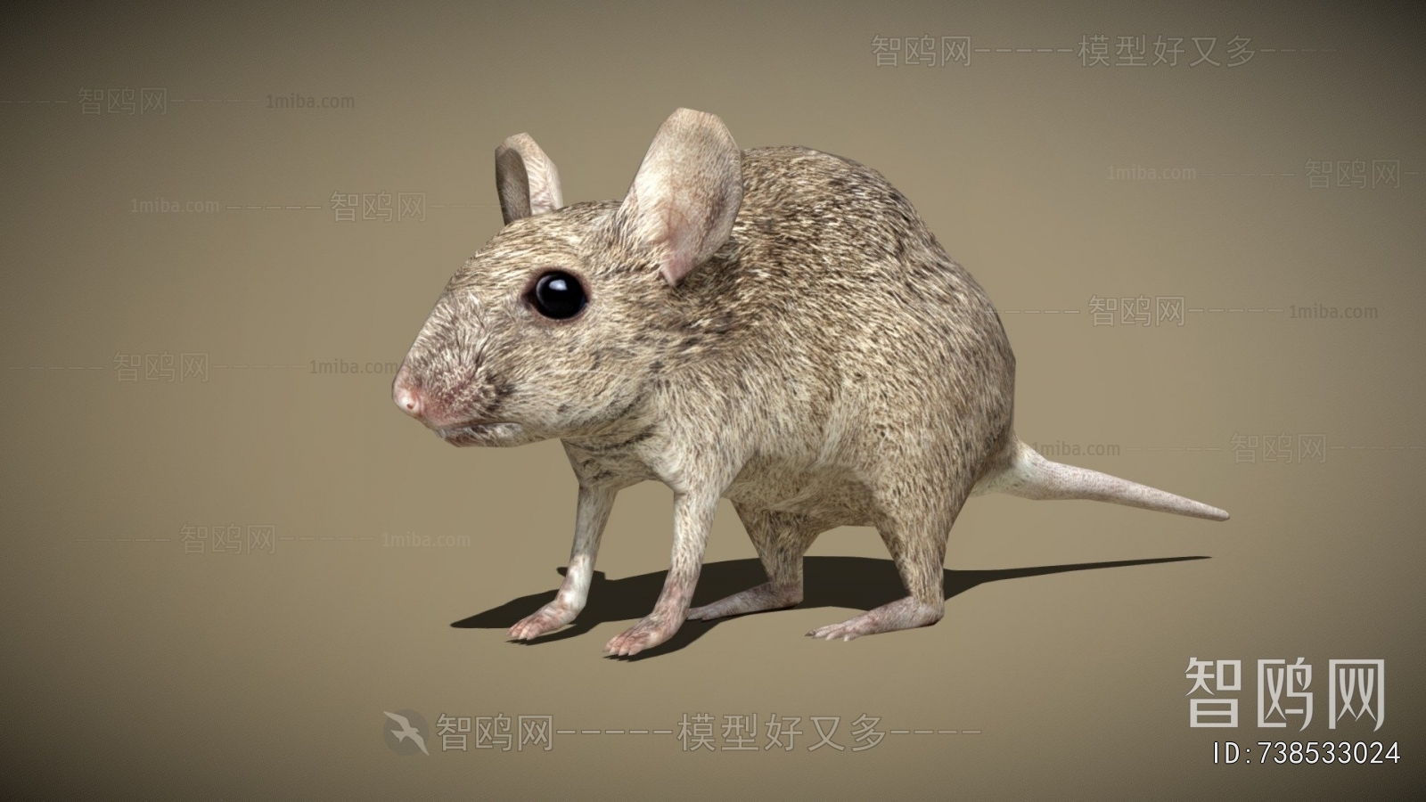 Modern Animal