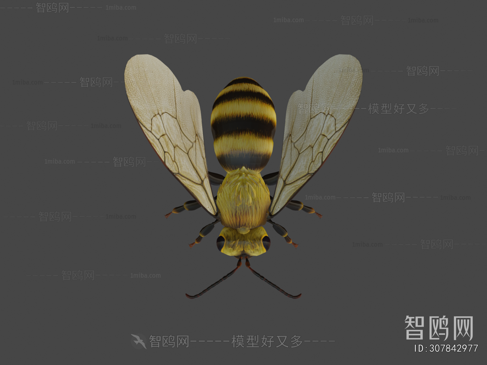 Modern Animal