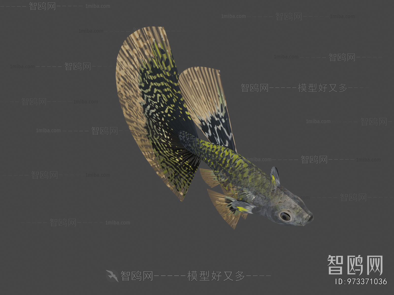 Modern Animal