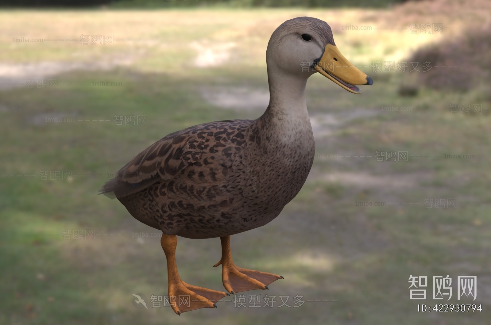 Modern Animal Duck