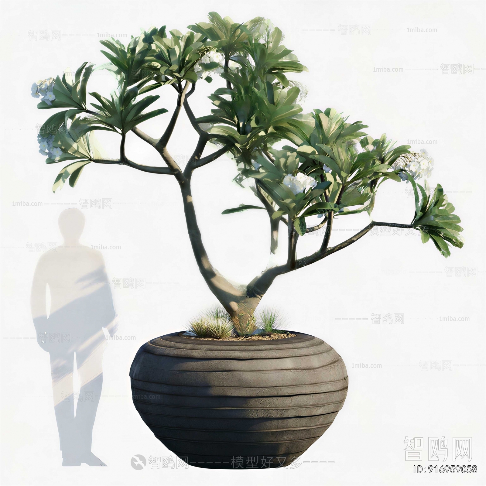Modern Bonsai