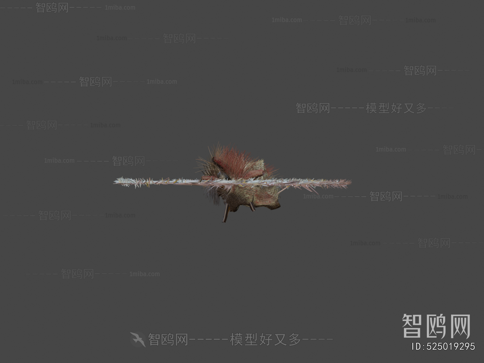 Modern Flying Animals