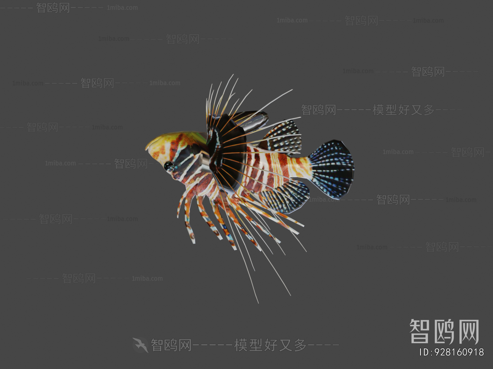 Modern Animal