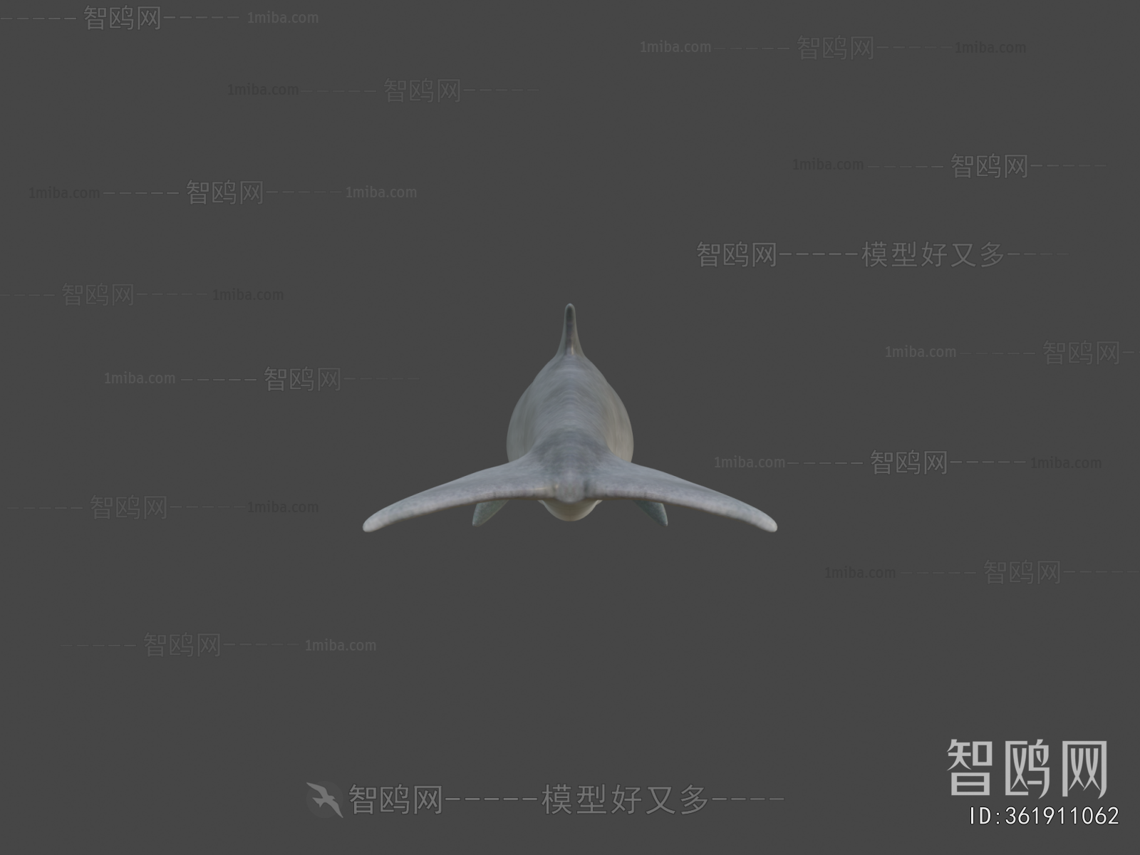 Modern Aquatic Animals