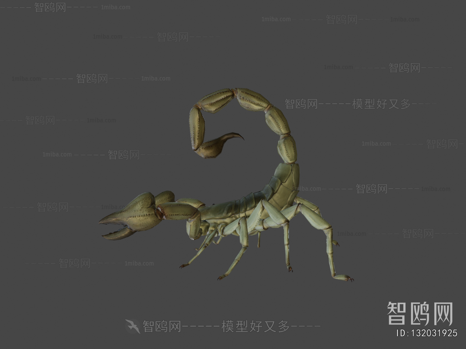 Modern Animal