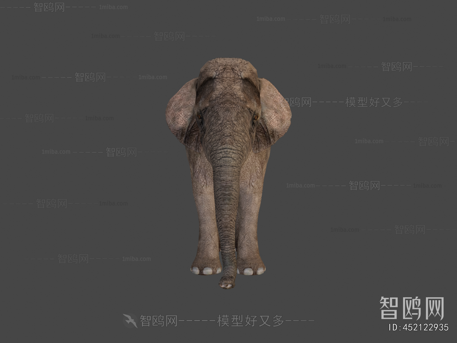 Modern Mammal