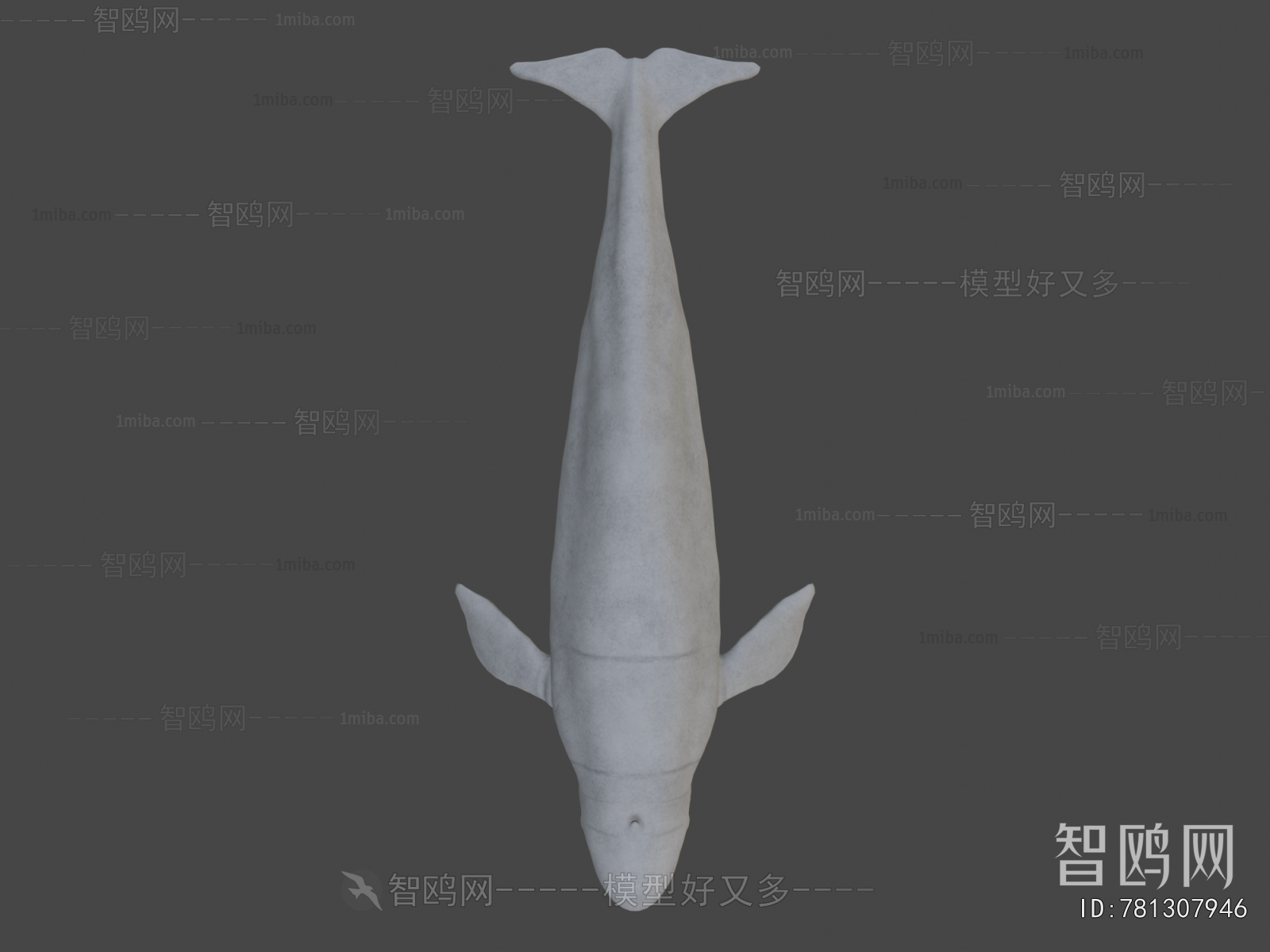 Modern Aquatic Animals