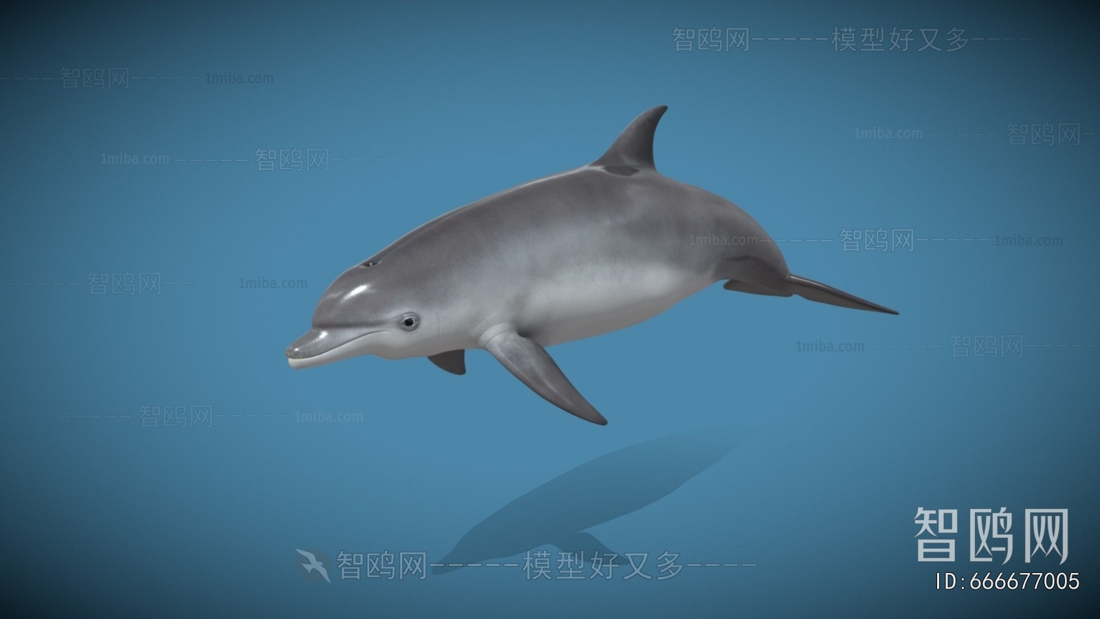 Modern Aquatic Animals