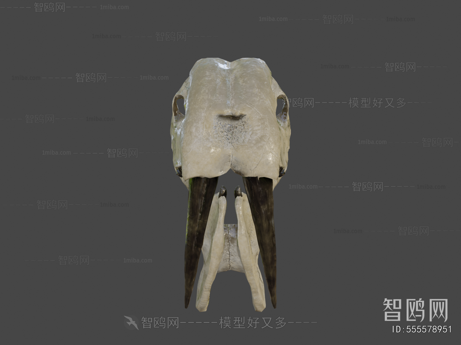 Modern Medical Equipment