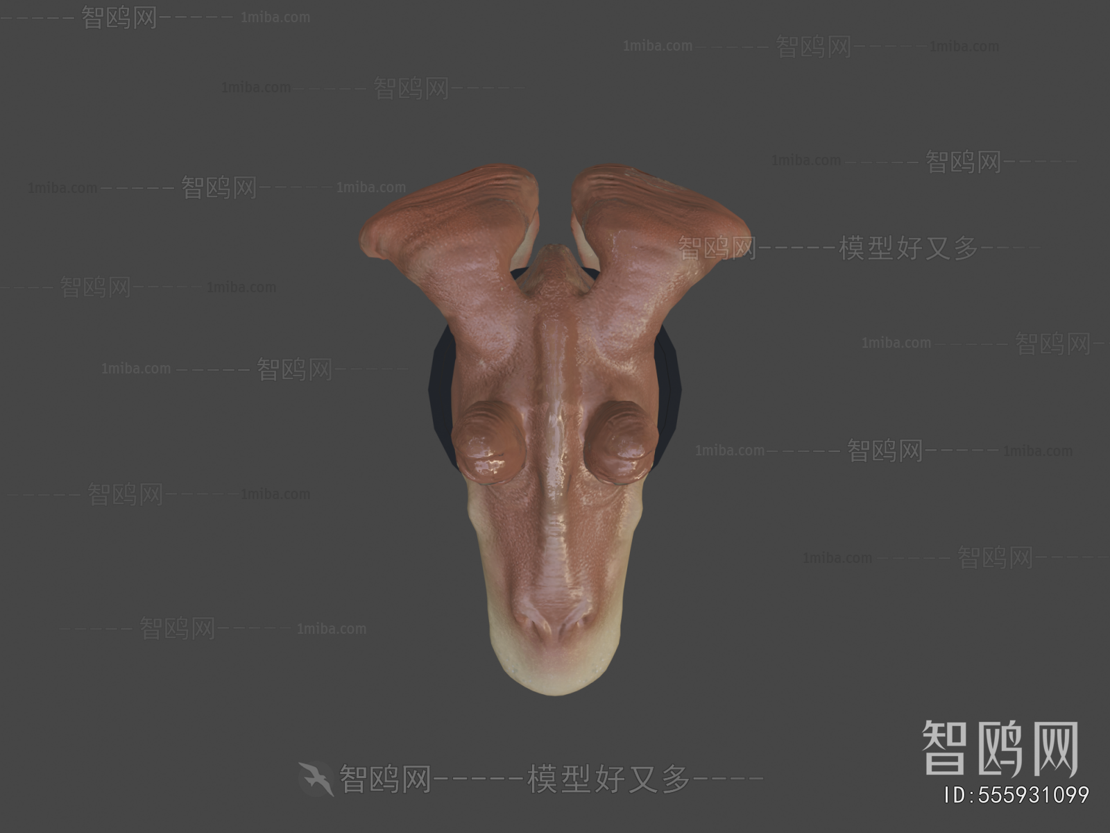 Modern Animal