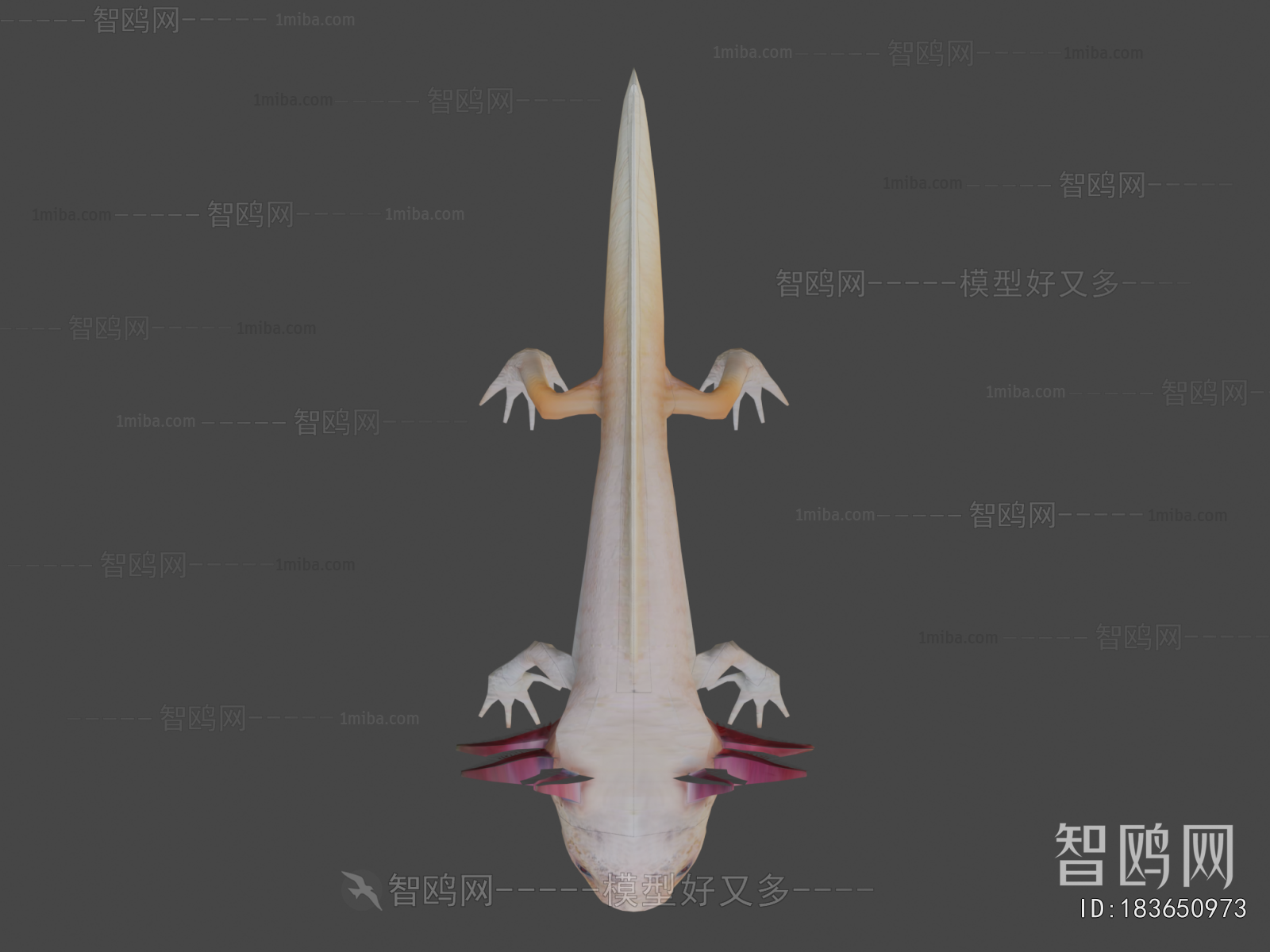 Modern Animal