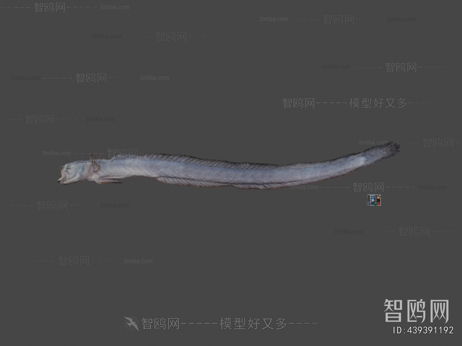 Modern Aquatic Animals