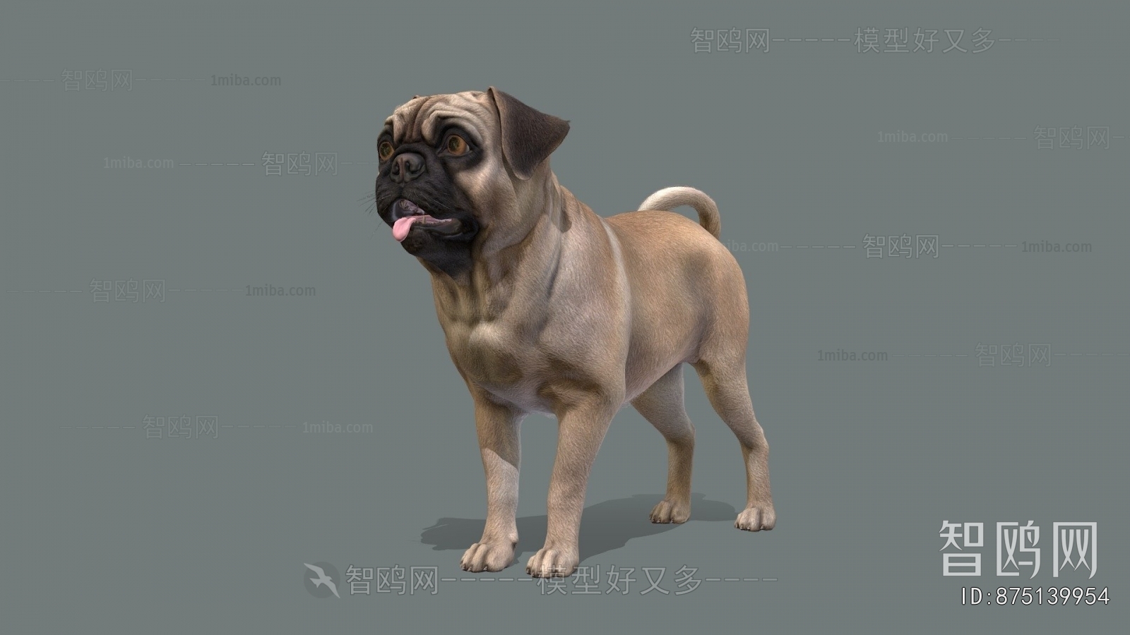 Modern Animal