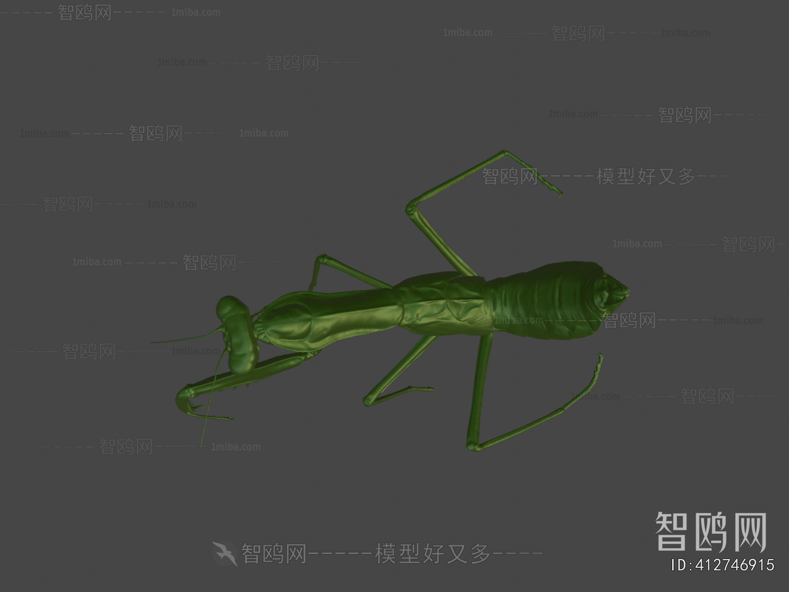 Modern Other Animals