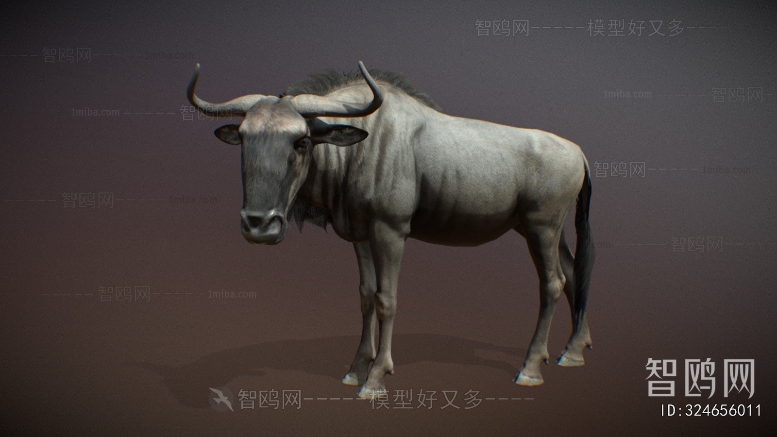 Modern Mammal