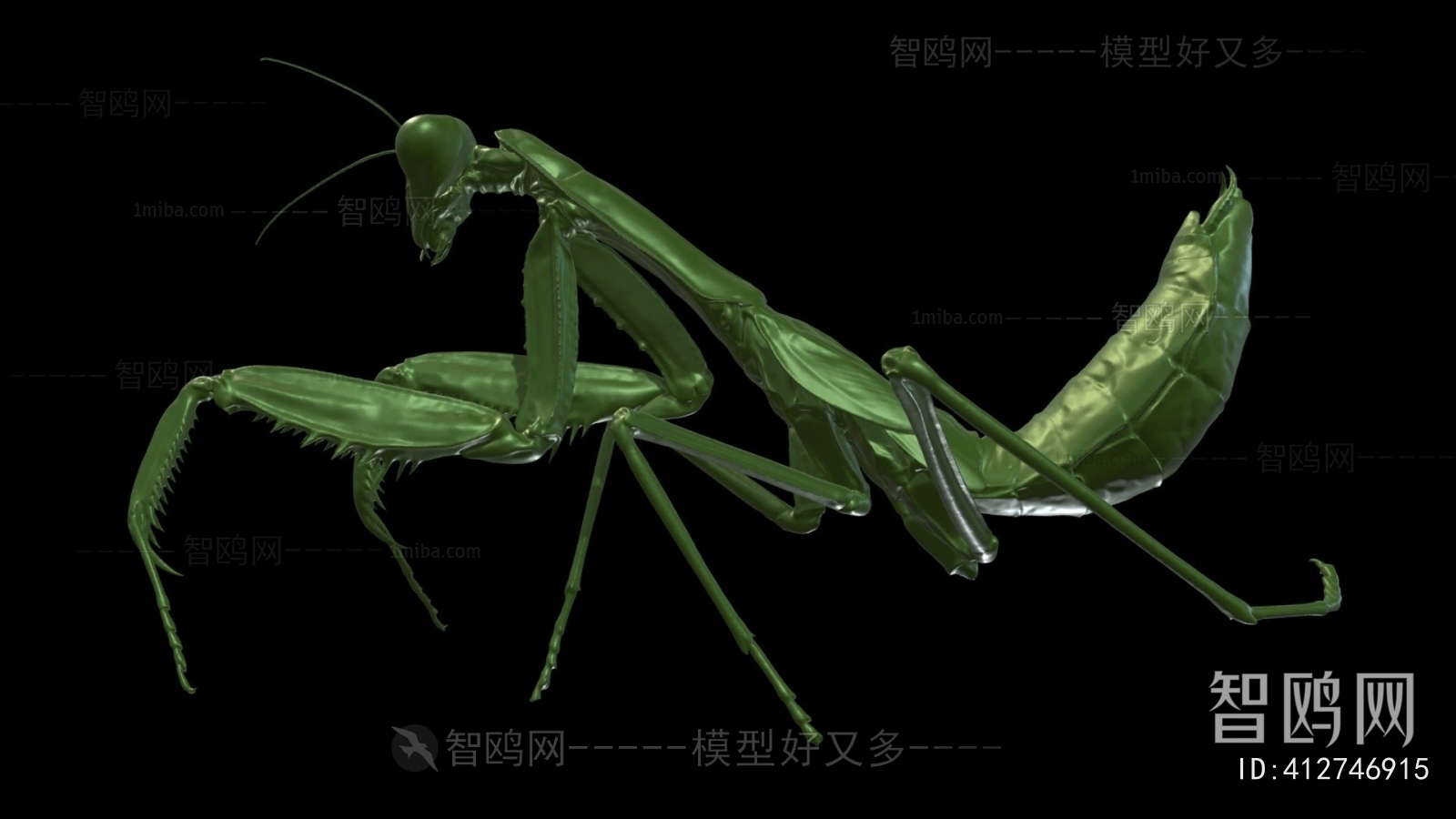 Modern Other Animals