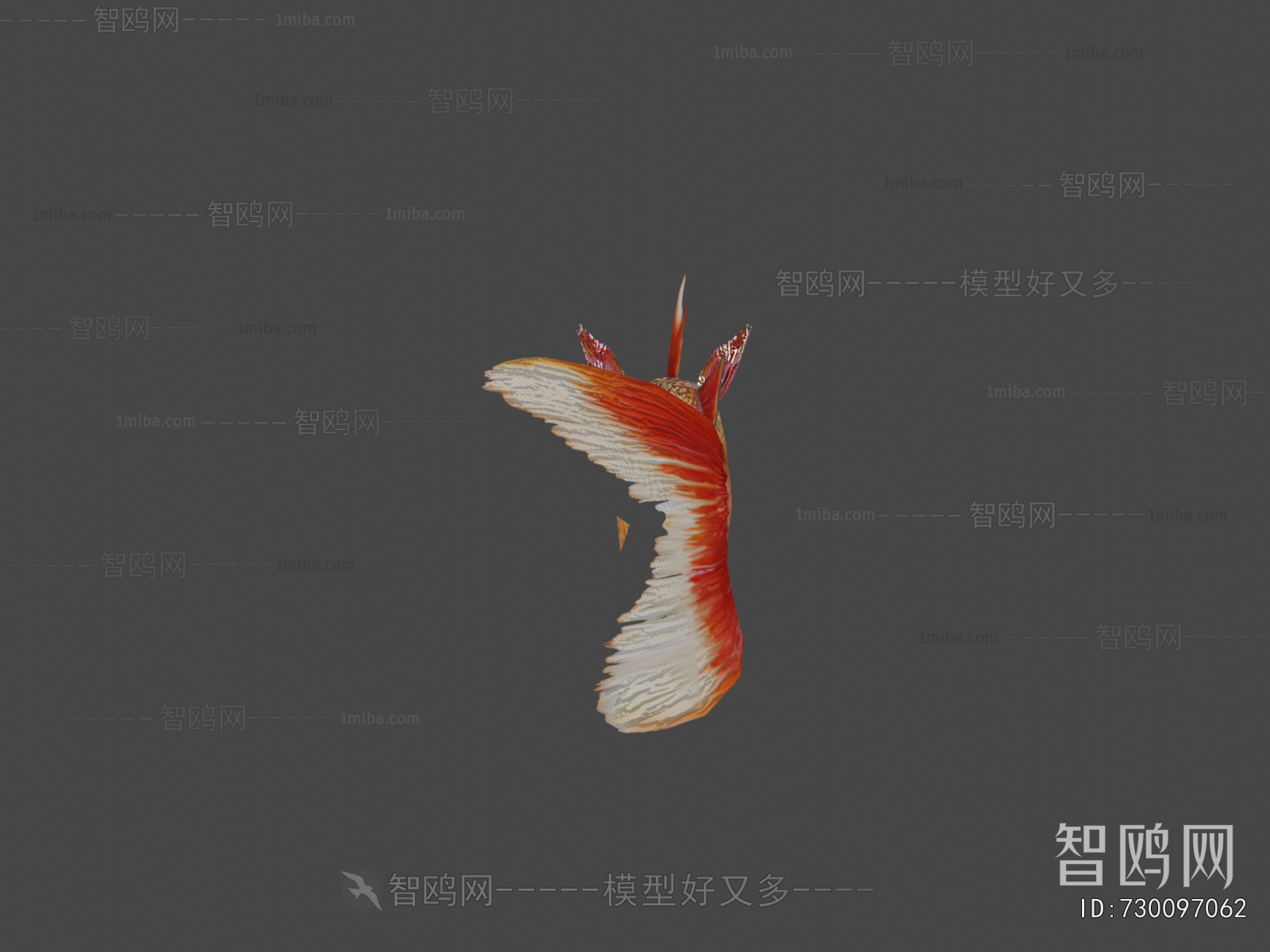 Modern Aquatic Animals