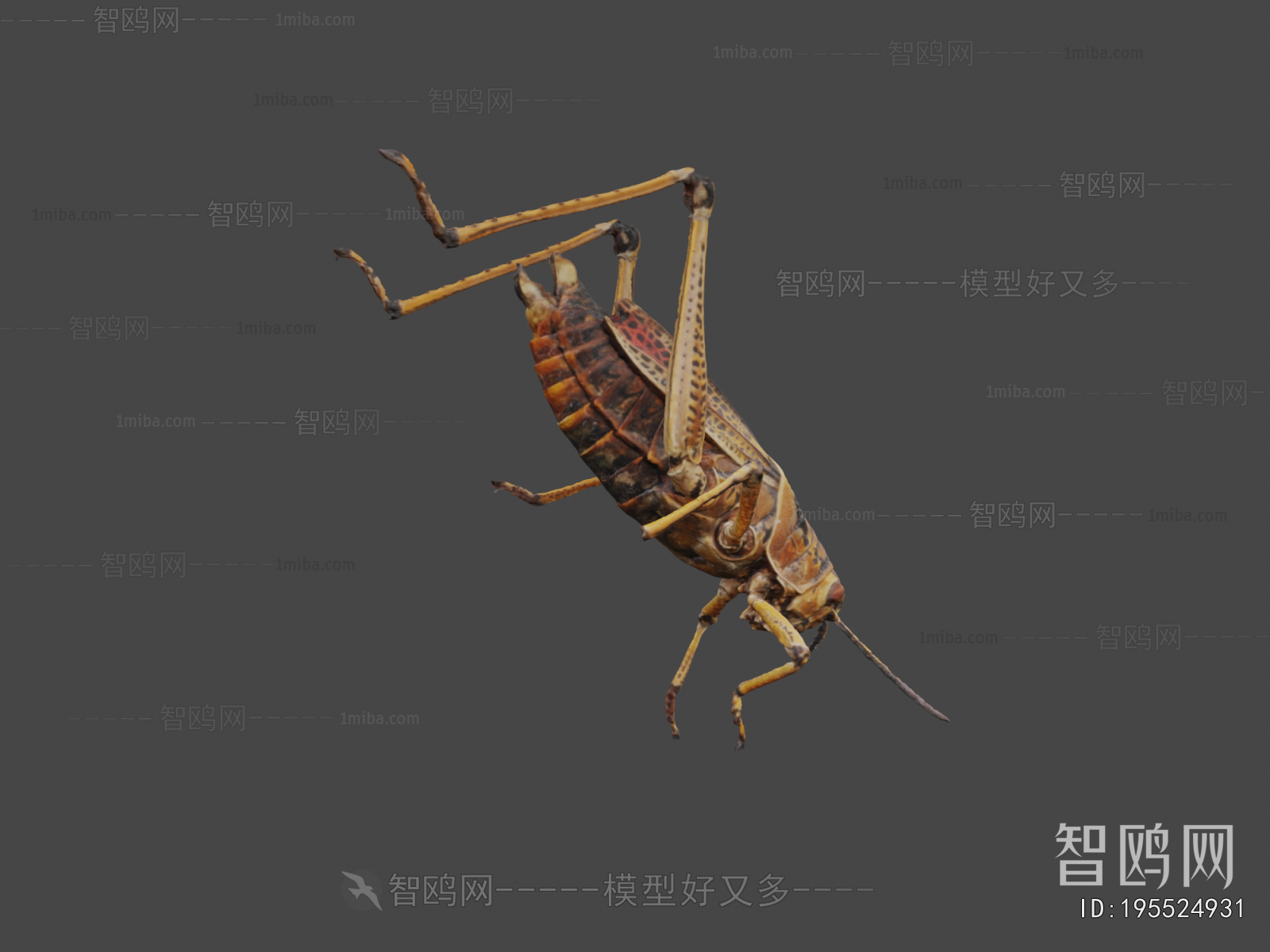 Modern Other Animals