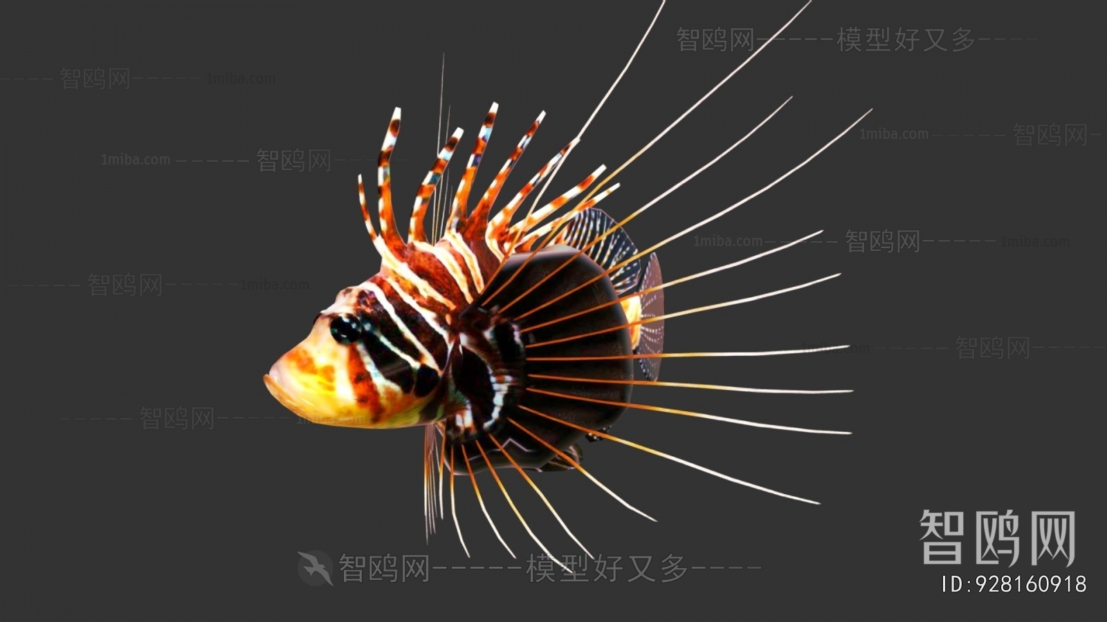 Modern Animal