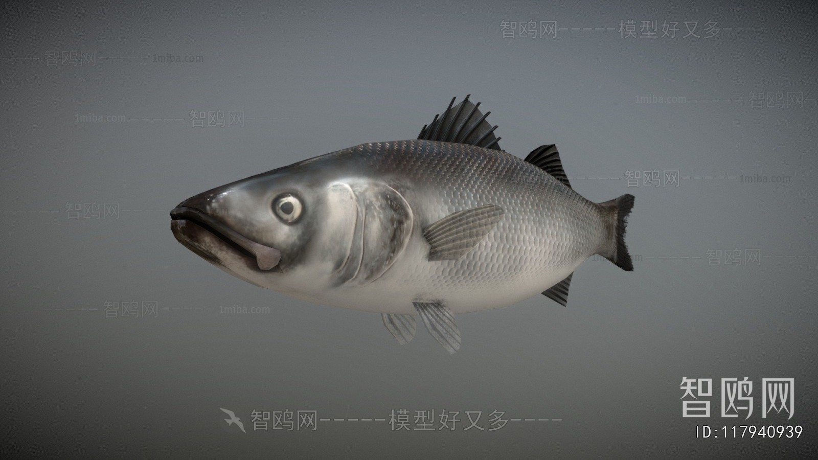 Modern Aquatic Animals