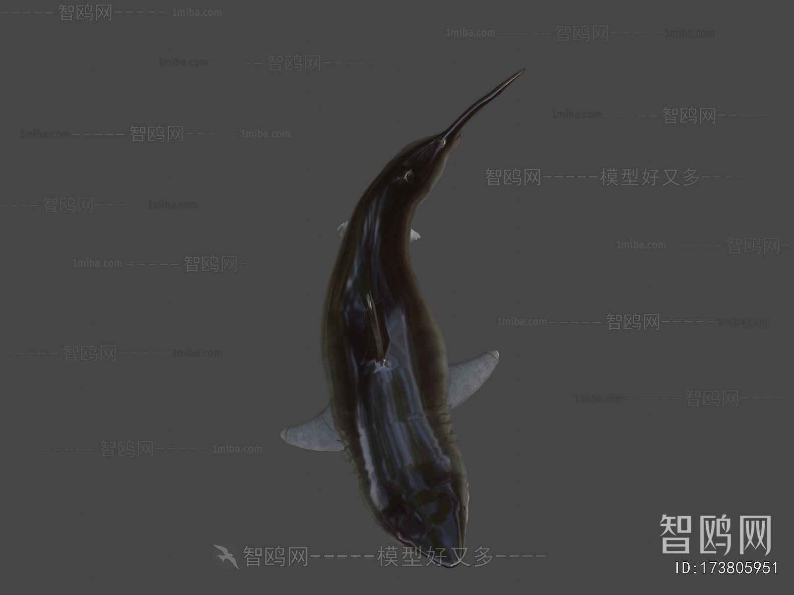 Modern Aquatic Animals