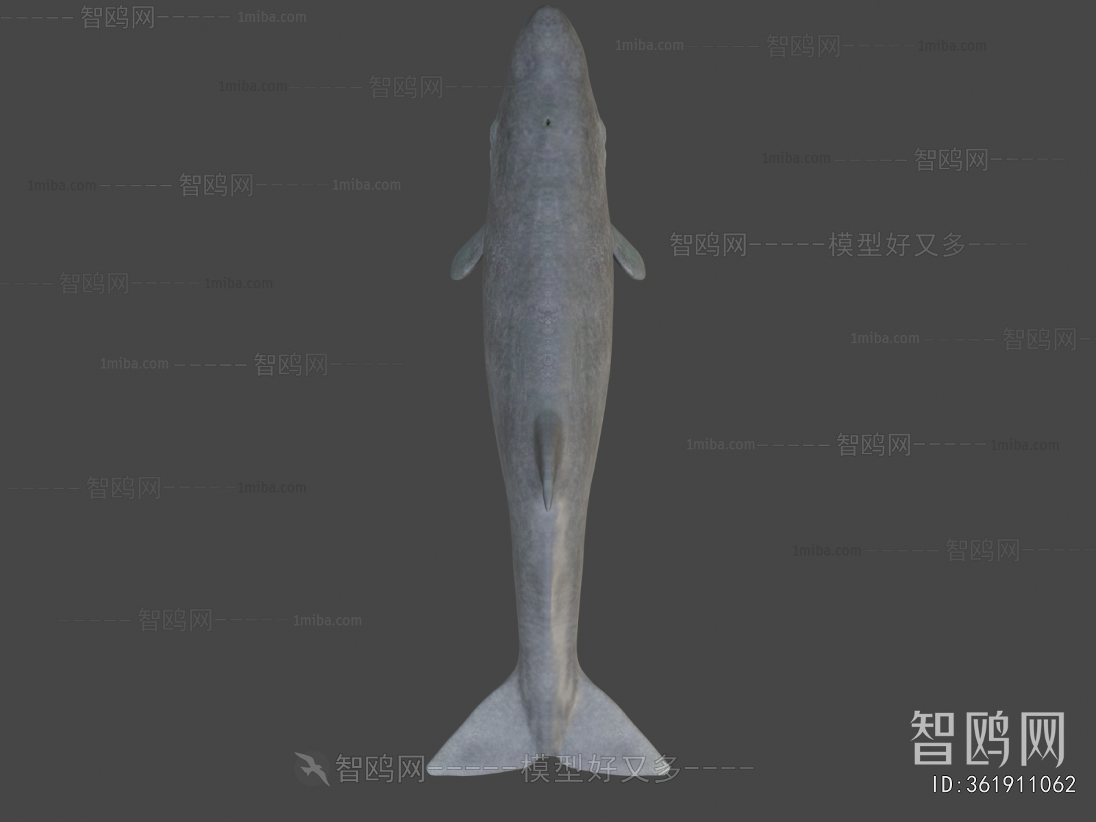 Modern Aquatic Animals