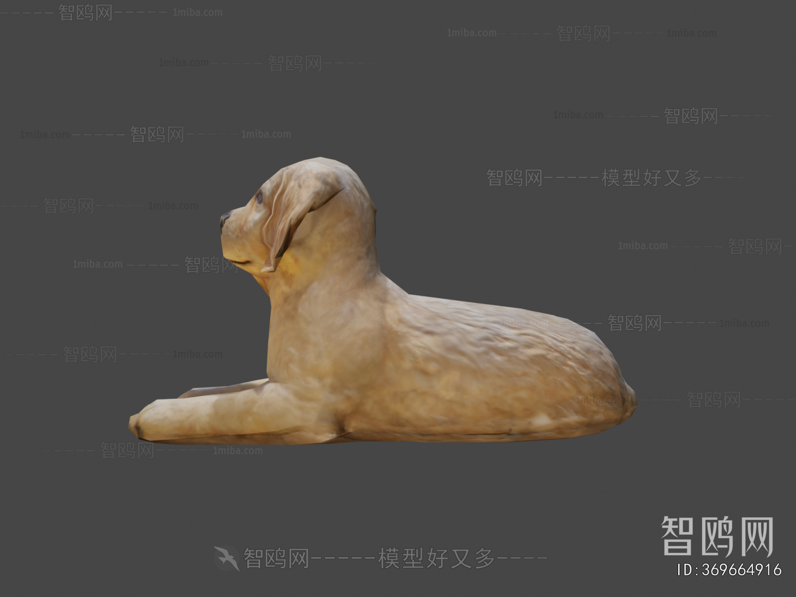 Modern Animal